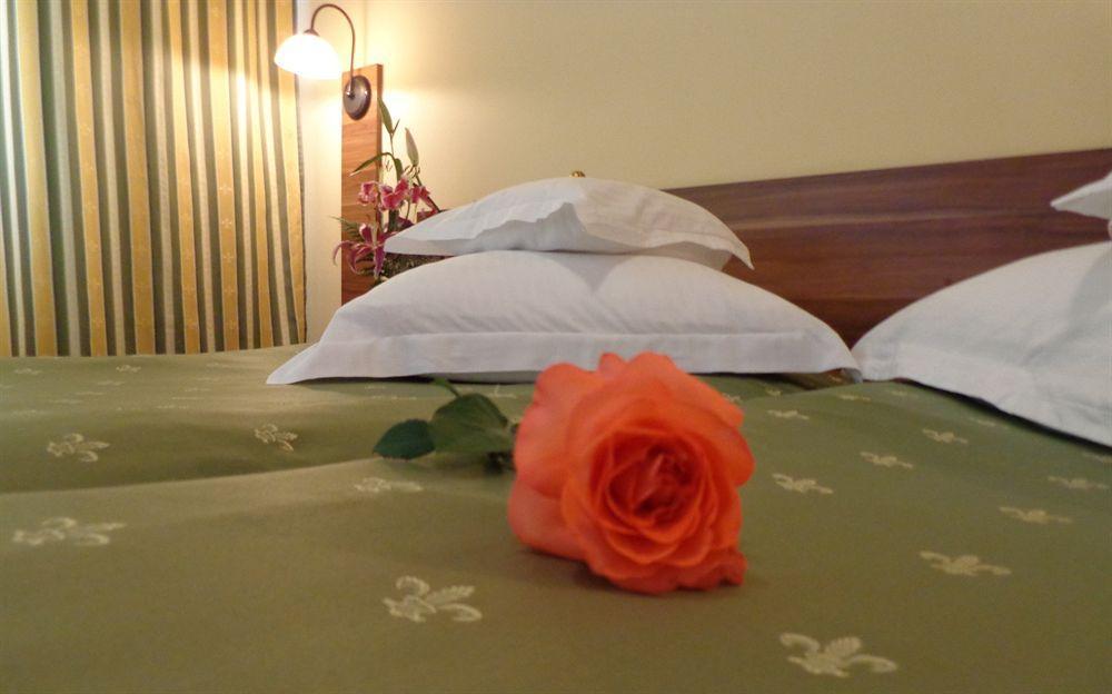 Hotel Lyra Oradea Exterior photo